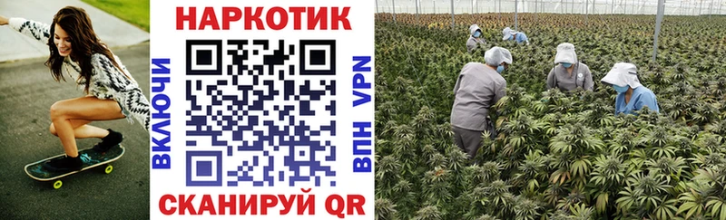 Купить закладку Канабис  Меф мяу мяу  Alpha PVP  ГАШИШ  Нижневартовск