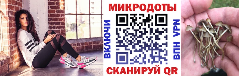 Купить закладки  Нижневартовск  Псилоцибиновые грибы мицелий 